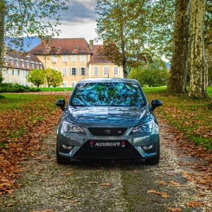 alexibizafr